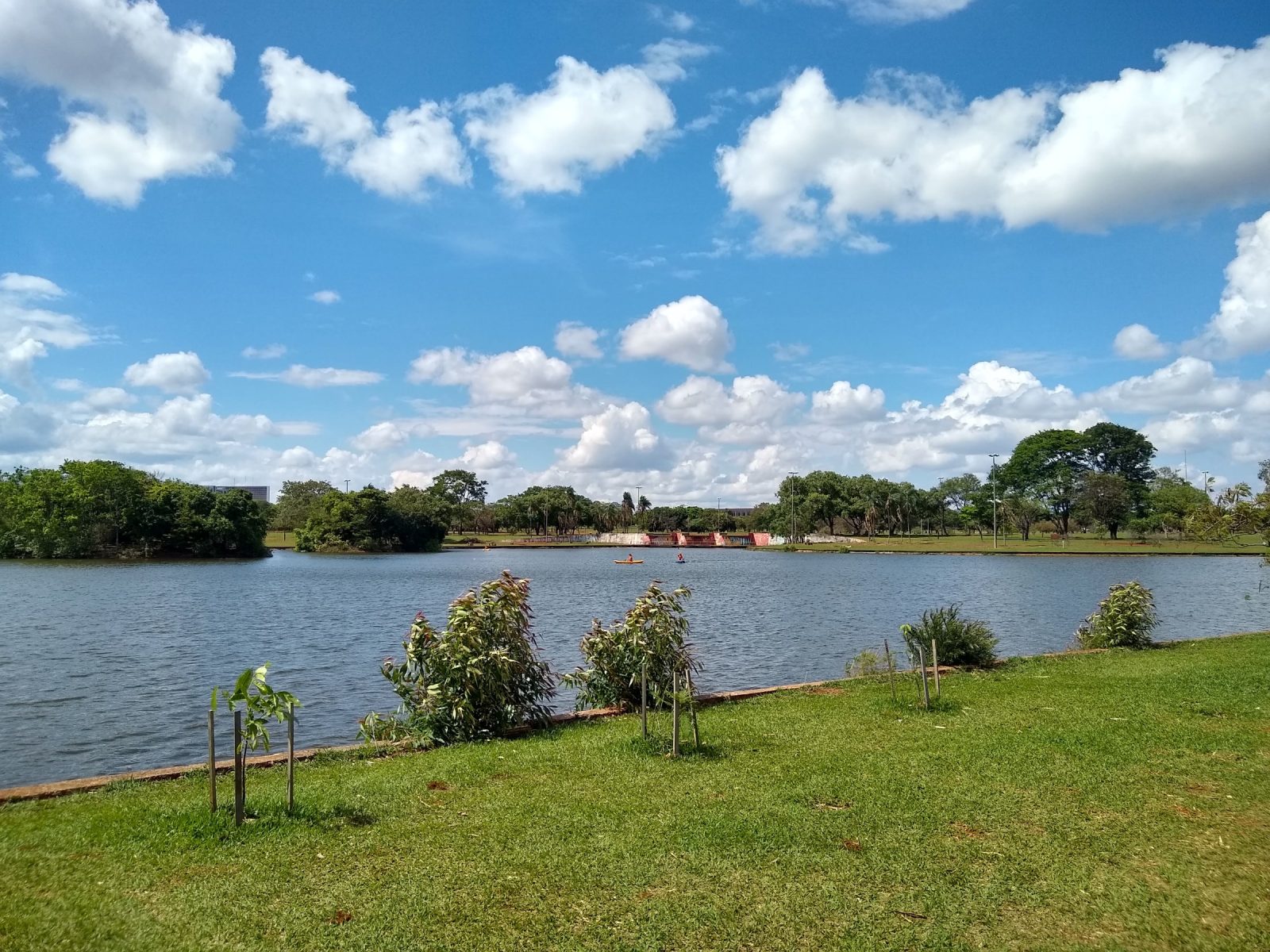 Parque da Cidade Sarah Kubitschek: o maior parque urbano do Brasil é gratuito