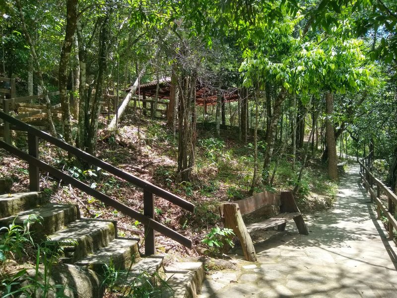 Turismo de Aventura Leve: Melhores Trilhas e Atividades ao Ar Livre para Iniciantes